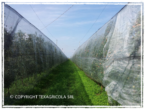 © Texagricola srl